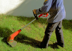 Maintenance and Groundskeeping services